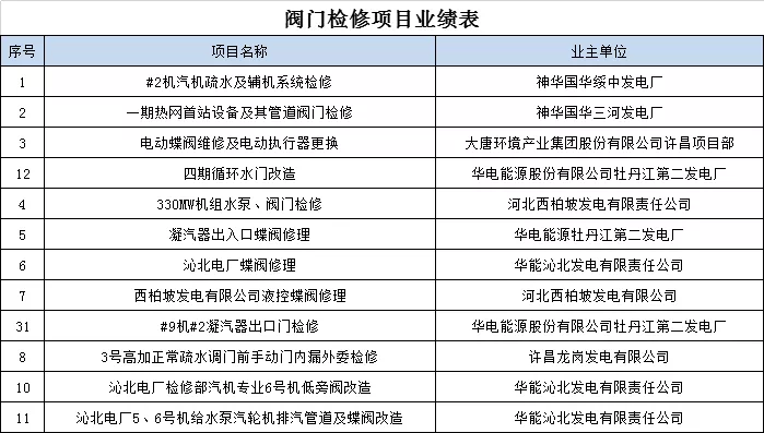 阀门检修项目业绩表